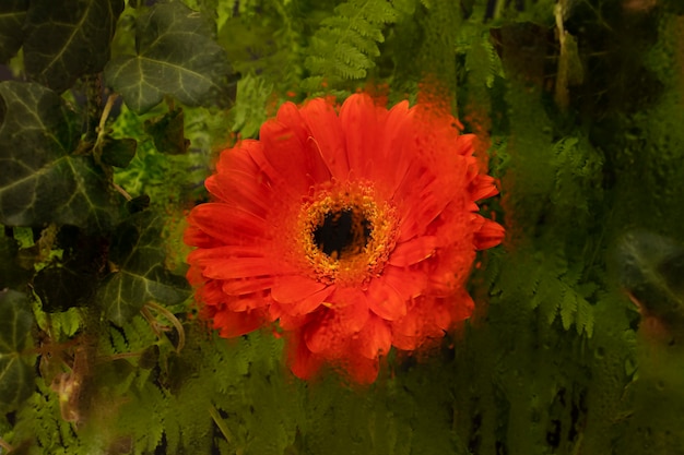 Foto kleurrijk vochtglas