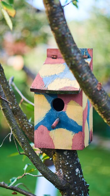 Kleurrijk vogelhuis op een boom