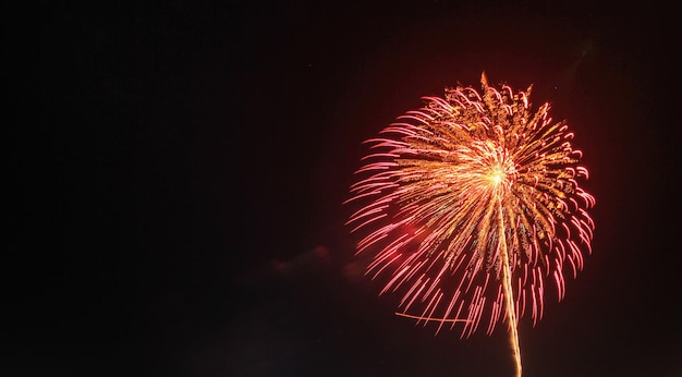 kleurrijk vuurwerk op de zwarte hemelachtergrond overwater