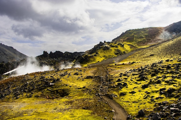 Kleurrijke bergen, groen mos, geothermische poelen, prachtige vulkaanvallei Landmannalaugar, IJsland