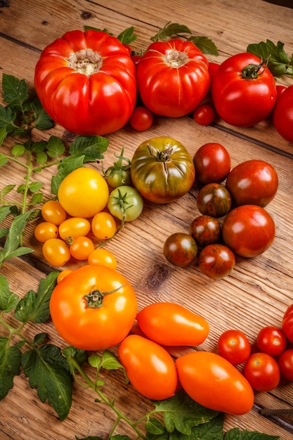 Kleurrijke biologische tomaten