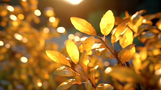Kleurrijke bladeren met lichtfilters