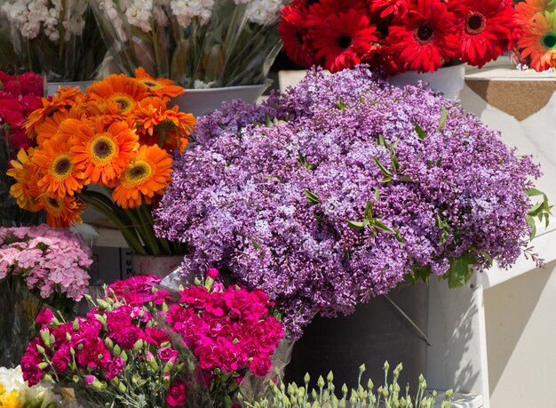 Kleurrijke bloeiende bloemen in vaas