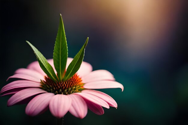 Foto kleurrijke bloem met een groen blad op