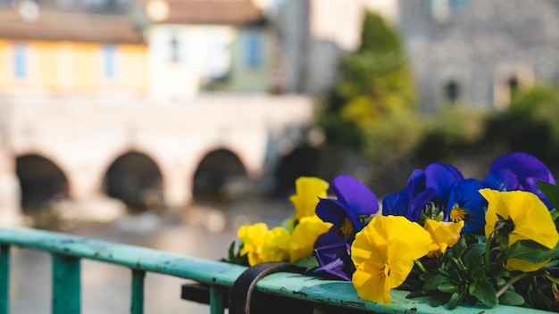 Kleurrijke bloemen aan de oever van een rivier met een oude brug in de verte