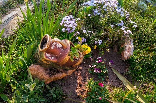 Kleurrijke bloemen in de tuin