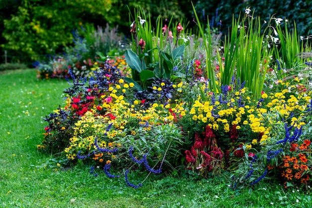 Kleurrijke bloemen in een achtertuin in de herfst