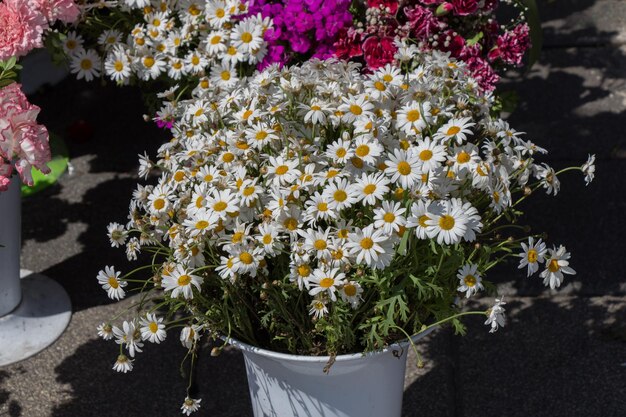 Kleurrijke bloemen in vaas op de bloemenmarkt