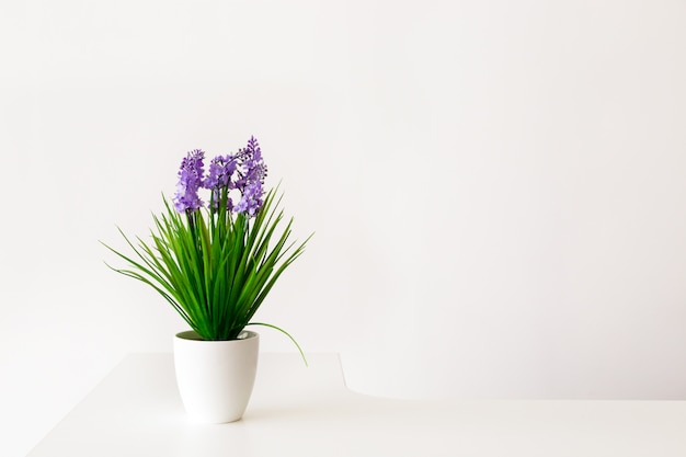 Kleurrijke bloemen in witte pot.