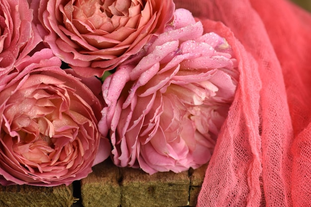 Kleurrijke bloemen op een tafel Mooie bloemen op houten tafel Roze roos achtergrond