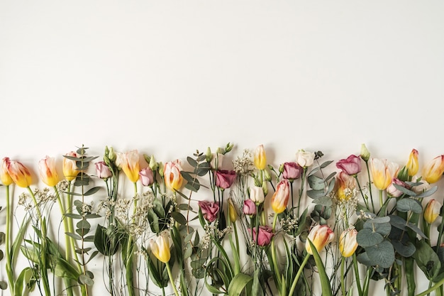 Kleurrijke bloemen: tulpen, eucalyptus, rozen op wit