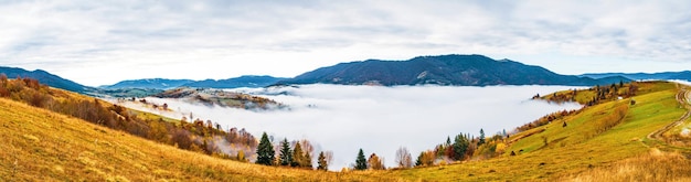 Kleurrijke bossen in de warme karpaten bedekt met dikke grijze mist