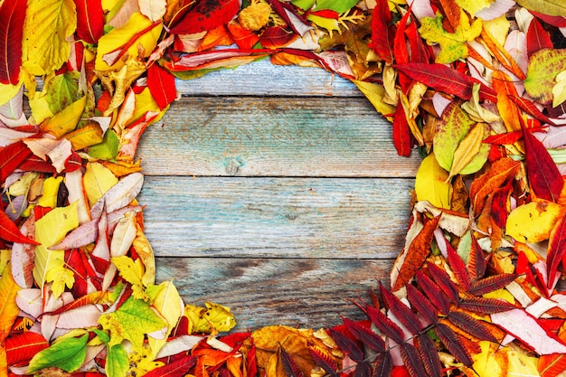Foto kleurrijke de herfstachtergrond van heldere bladeren met rond kader op hout