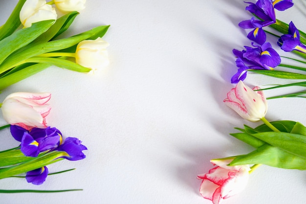 Kleurrijke de lentetulpen en irisbloemen op witte achtergrond