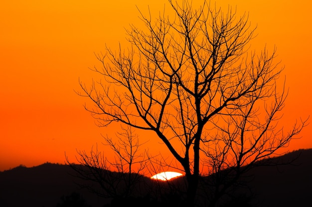 kleurrijke dramatische hemel met wolken bij zonsondergang