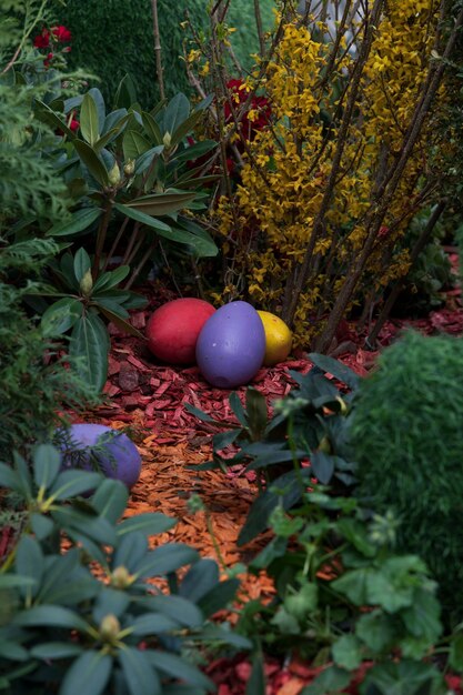 Kleurrijke eieren in de tuin