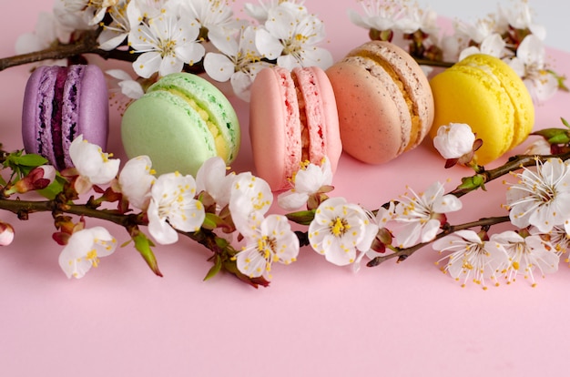 Kleurrijke franse die macarons of makarons met bloeiende abrikozenbloemen worden verfraaid op pastelkleurroze