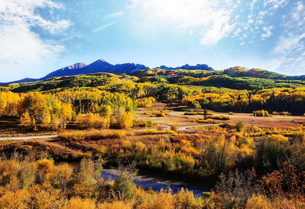 Kleurrijke gele herfst in Colorado, Verenigde Staten. Herfst seizoen.