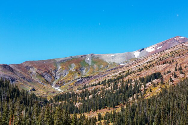 Kleurrijke gele herfst in Colorado, Verenigde Staten. Herfst seizoen.