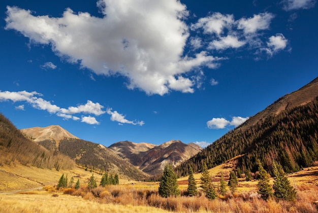 Kleurrijke gele herfst in Colorado, Verenigde Staten. Herfst seizoen.