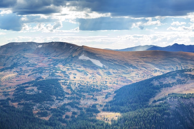 Kleurrijke gele herfst in Colorado, Verenigde Staten. Herfst seizoen.