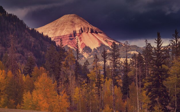 Kleurrijke gele herfst in Colorado, Verenigde Staten.