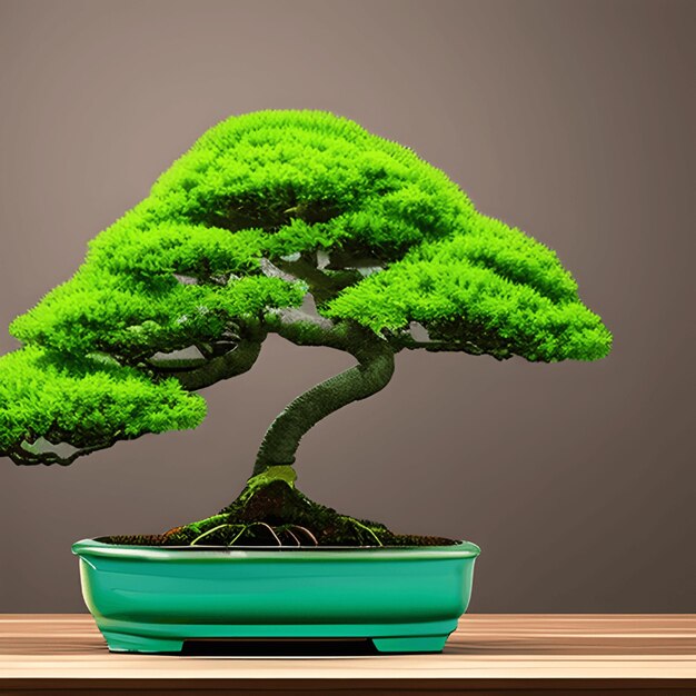 Kleurrijke groene Bonsai boom illustratie op een studio achtergrond Generatieve AI