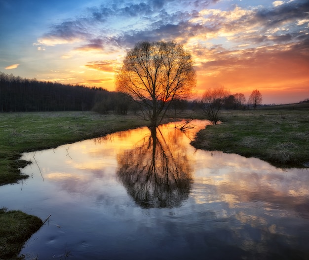 Kleurrijke hemel boven het groene veld