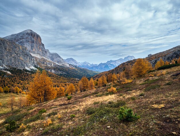 Kleurrijke herfst alpine Dolomieten bergscène Sudtirol Italië Rustig uitzicht vanaf Falzarego Path