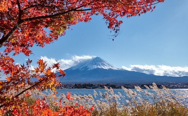 Kleurrijke herfst en berg Fuji met sneeuw afgedekt aan het Kawaguchiko-meer zijn de beste plaatsen in J