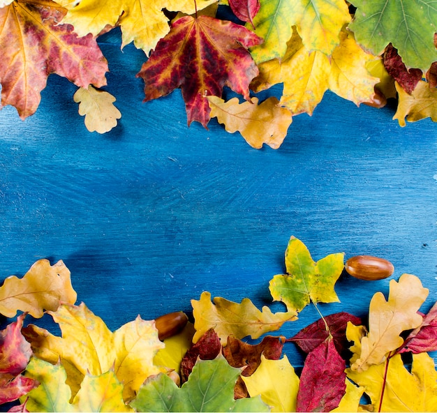 Kleurrijke herfst esdoorn bladeren op houten tafel