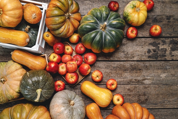 Kleurrijke herfst met pompoenen en appels bovenaanzicht