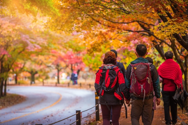 Kleurrijke herfst met prachtige esdoornbladeren in het Naejangsan nationaal park Zuid-Korea