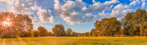 Kleurrijke herfst zonsopgang op weide. Panoramisch natuurlandschap, zachte pastelkleuren, droomnatuur, zon