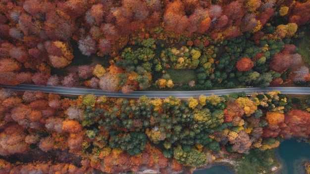 Kleurrijke herfst