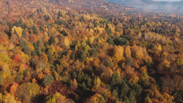 Kleurrijke herfst