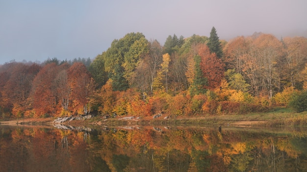 Kleurrijke herfst