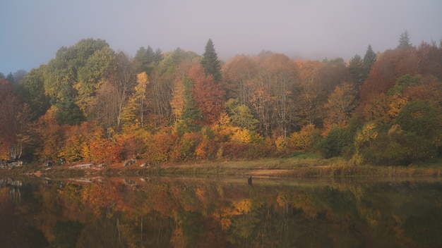 Kleurrijke herfst