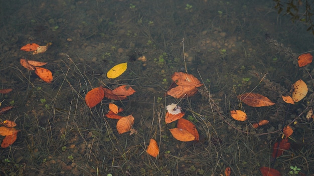 Kleurrijke herfst