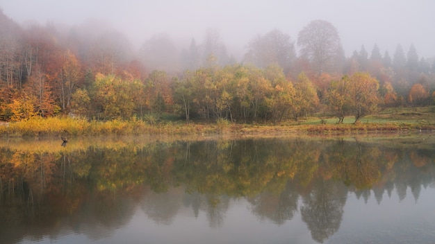 Kleurrijke herfst