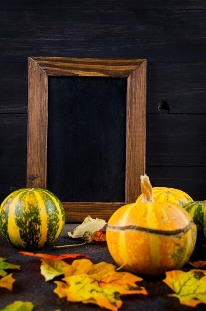 Kleurrijke herfstbladeren en kleine pompoenen met leeg frame