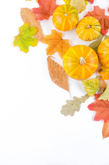 Kleurrijke herfstbladeren en kleine pompoenen