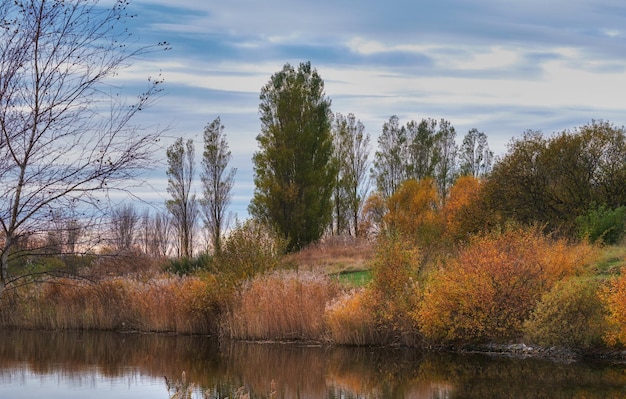 Kleurrijke herfstbosbomen bij een rivier prachtig natuurlandschap van een meer met kalm water in de buurt van weelderig gebladerte en struiken biodiverse bosbouw met felgele oranje en groene kleurbladeren