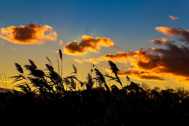 Kleurrijke herfstzonsondergang met zonnestralen die de wolken kleuren