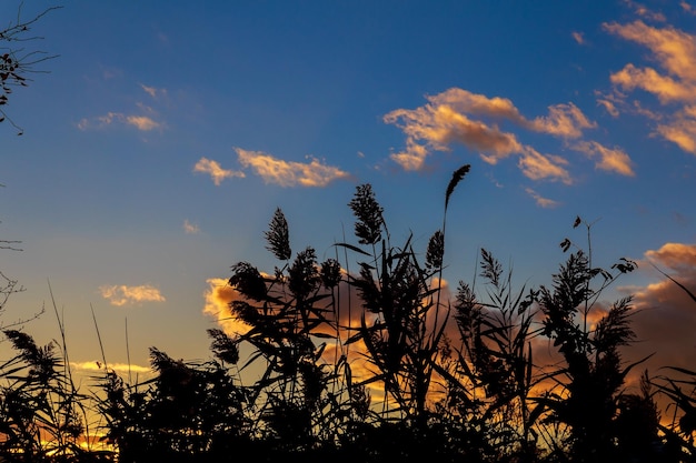 Kleurrijke herfstzonsondergang met zonnestralen die de wolken kleuren