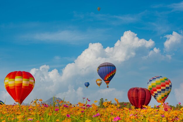 Kleurrijke heteluchtballon die bij het natuurpark en de tuin vliegt. Outdoor activiteit en reizen in Thailand.