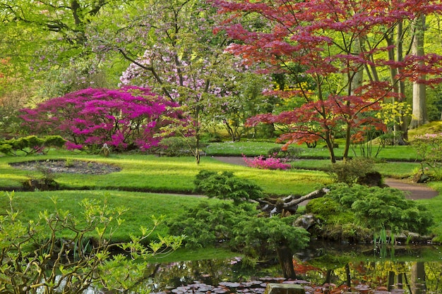 Kleurrijke Japanse tuin in het voorjaar, Den Haag, Holland