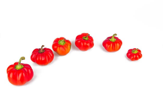 Kleurrijke kleine rode paprika's op een witte achtergrond Paprika Mini Bell Assortiment paprika Paprika's op een rij Van groter naar kleiner Concept van groei en diversiteit