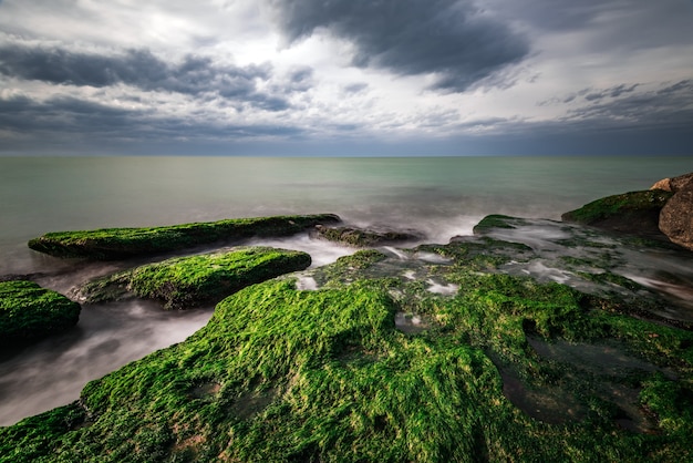 Kleurrijke kust met groene algen
