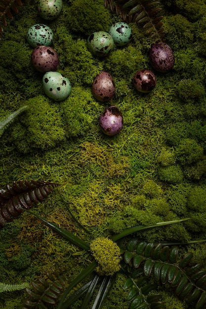 Kleurrijke kwarteleitjes in groen mos voor Pasen